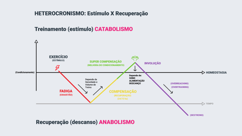 Apresentação - Treinamento desportivo - FMU